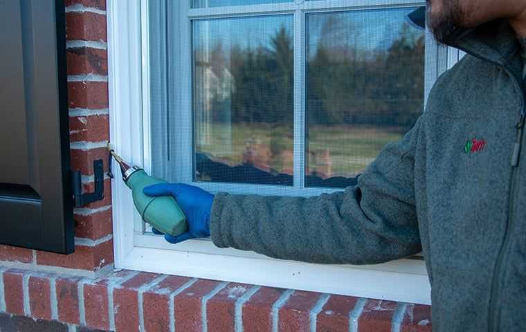 Applying insecticidal dust to exterior cracks and crevices of a house to control pests