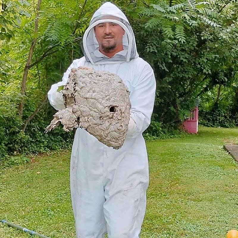 Pest Library resources image for Terra Pest Management Specialists pest information center