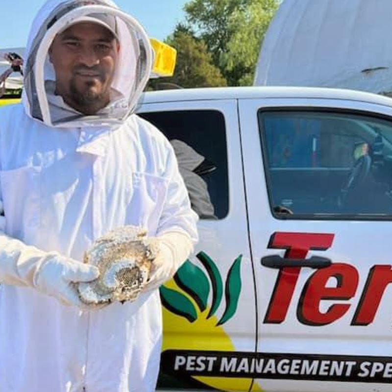 Terra Pest Management Specialists team providing aphid control services in Collegeville, PA