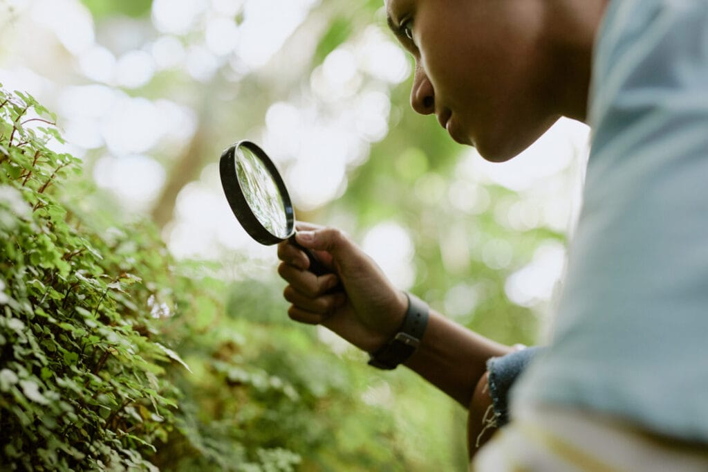 Professional pest management services being performed in a residential yard