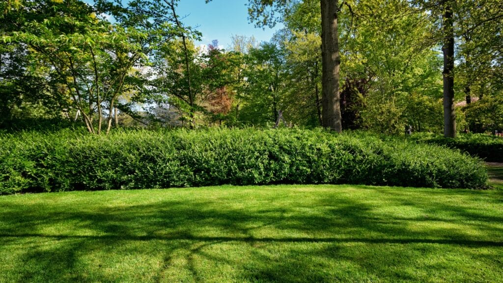 tick season - featured image